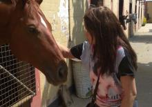 Los chicos de la Casa de reposo reciben terapias con caballos