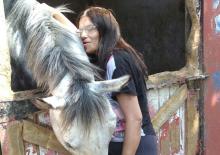 Los chicos de la Casa de reposo reciben terapias con caballos