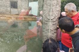 Paseo al Parque de las leyendas con los chicos de la Casa